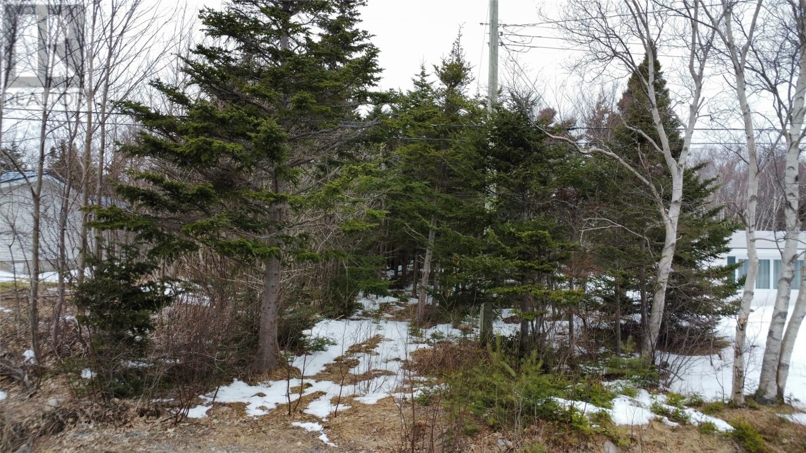 530 Seal Cove Road, CBS, Newfoundland & Labrador A1X 6R4