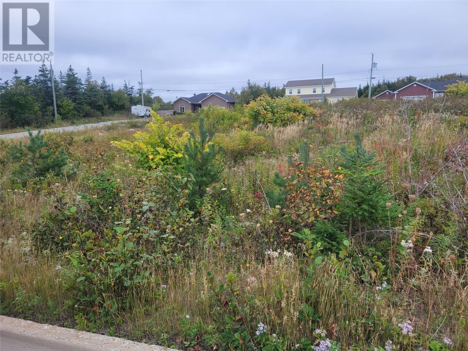 1 Ridgeview Avenue, Stephenville, Newfoundland & Labrador A2N 0B7
