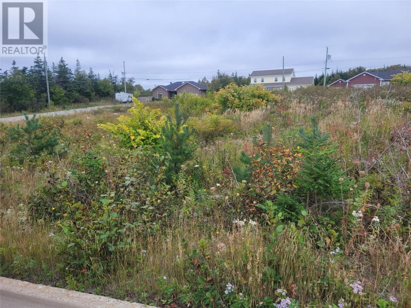 1 Ridgeview Avenue Stephenville Newfoundland & Labrador, A2N 0B7 - Vacant Land For Sale