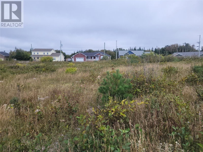 3 Ridgeview Avenue Stephenville Newfoundland & Labrador, A2N 0B7 - Vacant Land For Sale