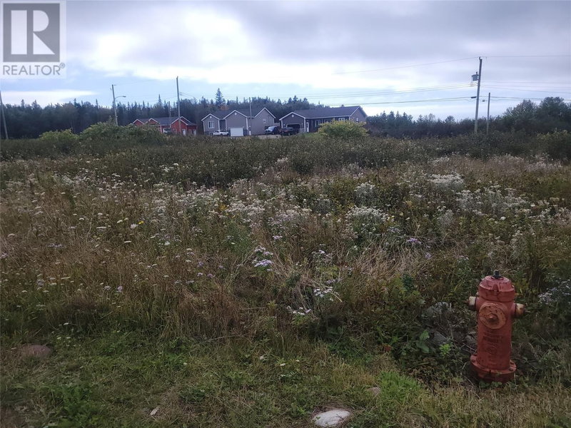 4 Logan Crescent Stephenville Newfoundland & Labrador, A2N 0B7 - Vacant Land For Sale