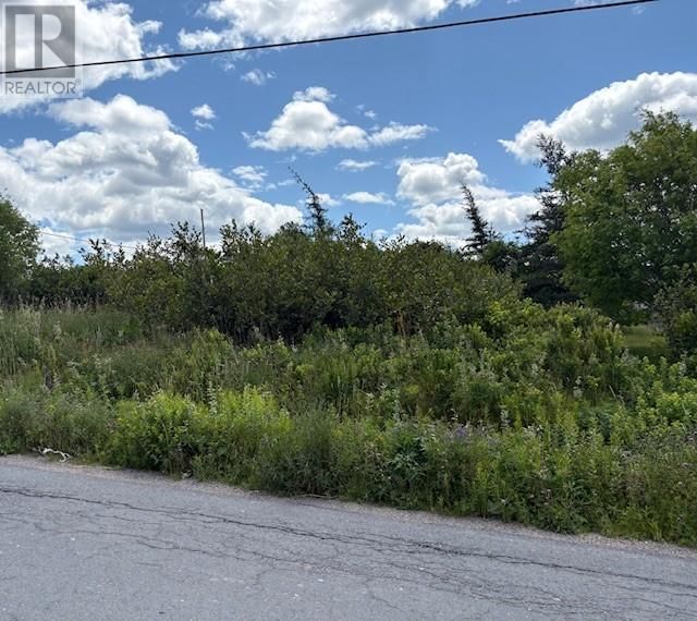 180 Central Street, Bay Roberts, Newfoundland & Labrador A0A 1G0