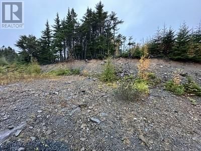 15 North Ridge | Blaketown Newfoundland & Labrador | Slide Image Four