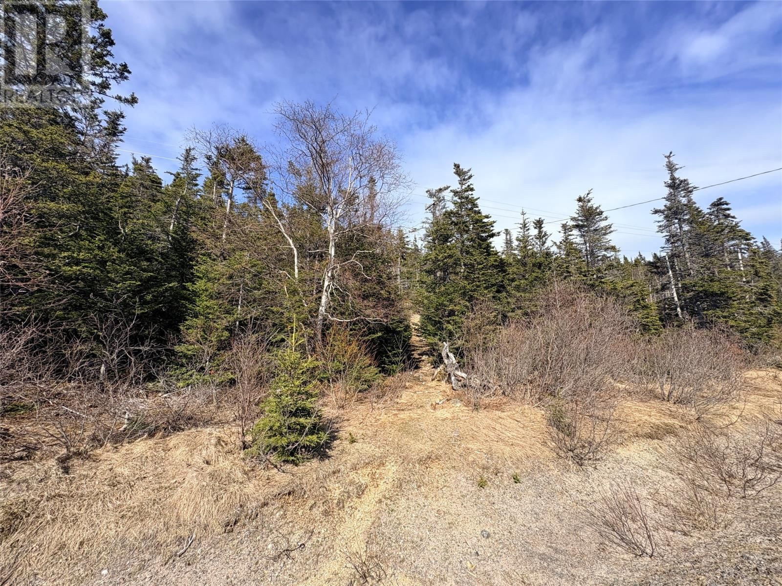  Random Island Road, Weybridge, Newfoundland & Labrador A5A 3A1