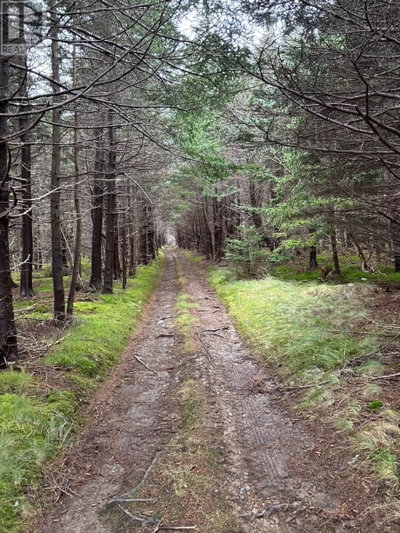 Lance Cove Road | Bell Island Newfoundland & Labrador | Slide Image Three