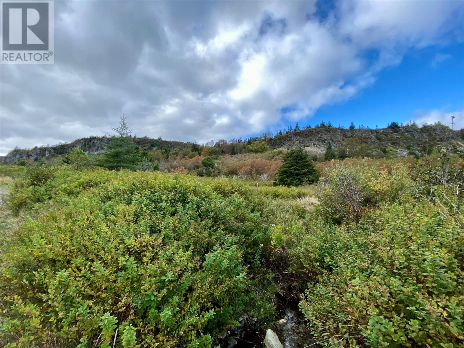 6-8 Old Road North, Salmon Cove, Newfoundland & Labrador A0A 3S0