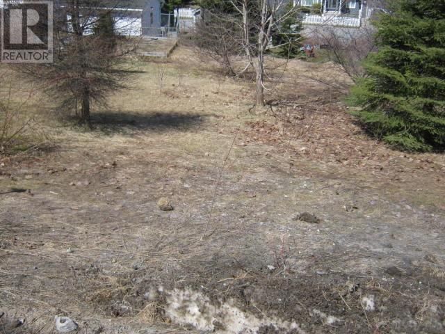 5 Princess Avenue, Corner Brook, Newfoundland & Labrador A2H 1N2