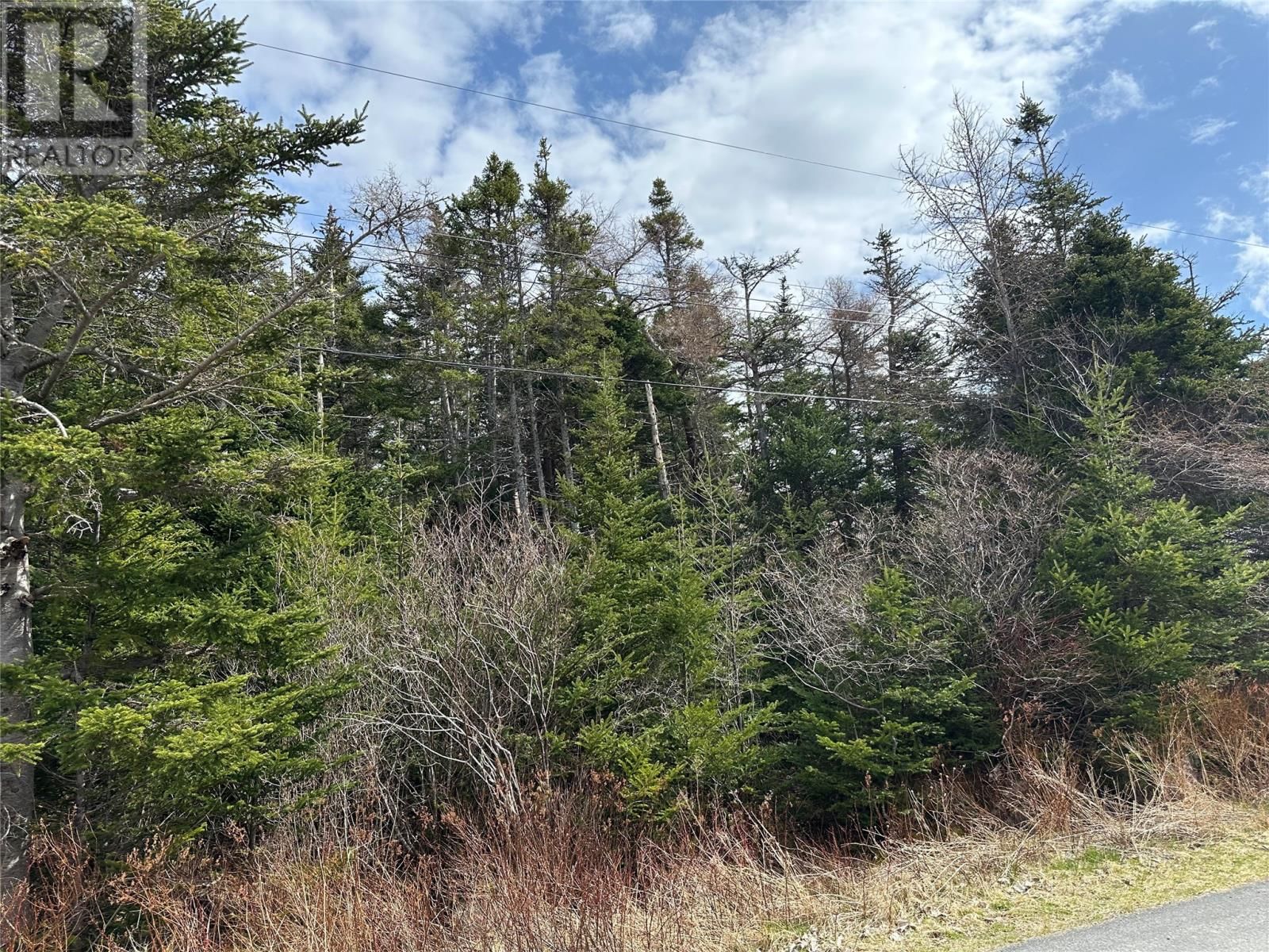 198-220 Dock Ridge Road, Avondale, Newfoundland & Labrador A0A 1B0