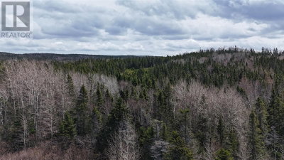 70 Road to the Isles | Lewisporte Newfoundland & Labrador | Slide Image Seven