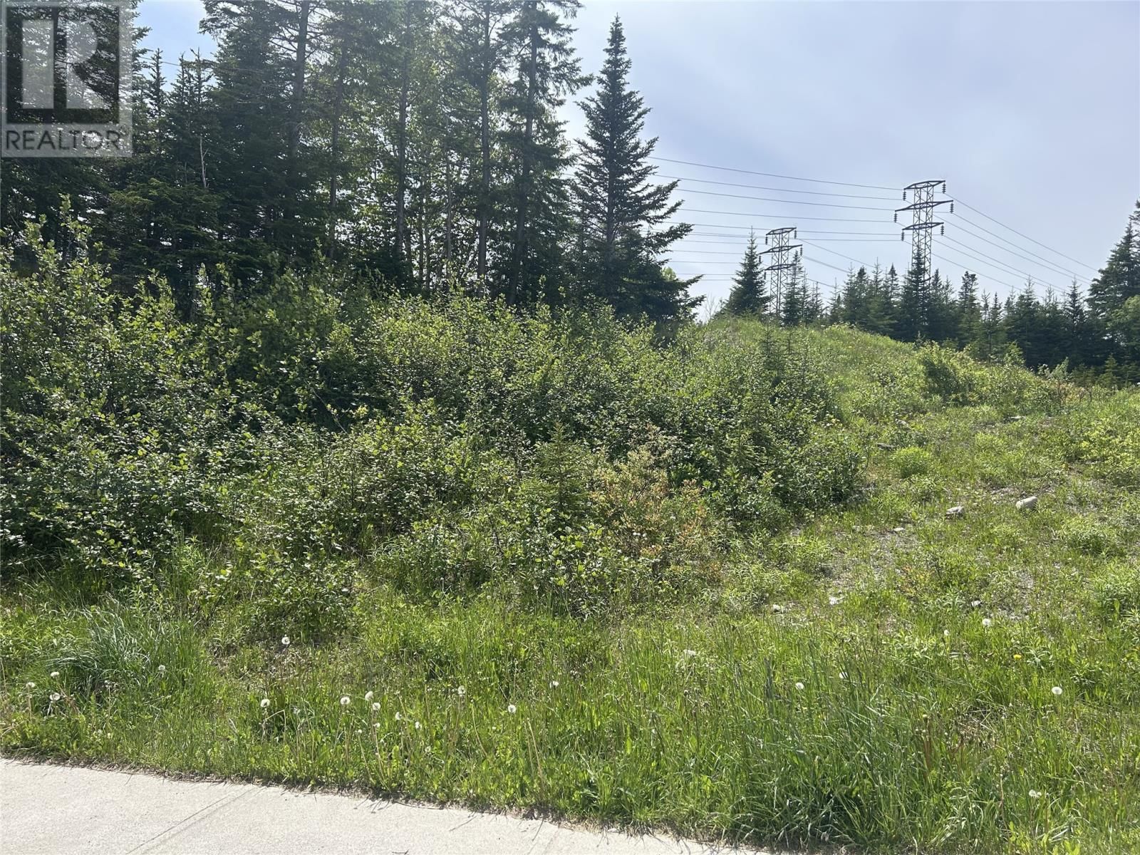196 Massey Drive, Massey Drive, Newfoundland & Labrador A2H 7A2