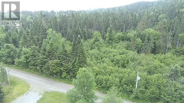 Lot Bungalow Hill, Spruce Brook, Newfoundland & Labrador A0L 1G0