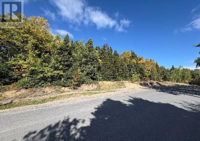 8-10 Peters Cove Road, Bunyans Cove, Newfoundland & Labrador A0C 1E0