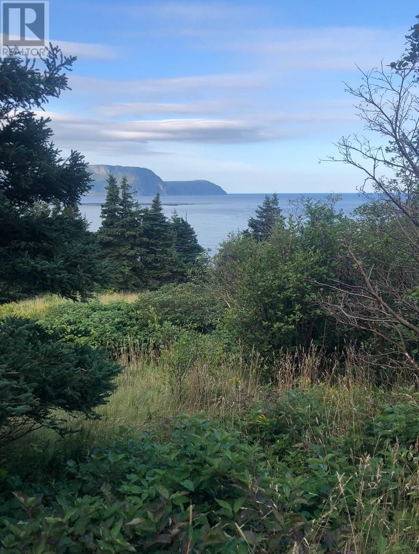 158A Main Street North, Rocky Harbour, Newfoundland & Labrador A0K 4N0