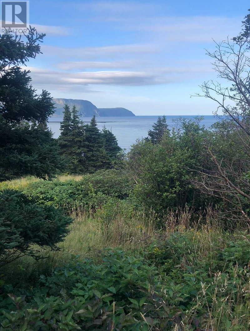 158A Main Street North Rocky Harbour Newfoundland & Labrador, A0K 4N0 - Vacant Land For Sale