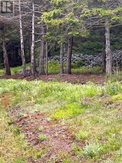 10 LONG SHORE Road | DUNTARA Newfoundland & Labrador | Slide Image Thirty-five