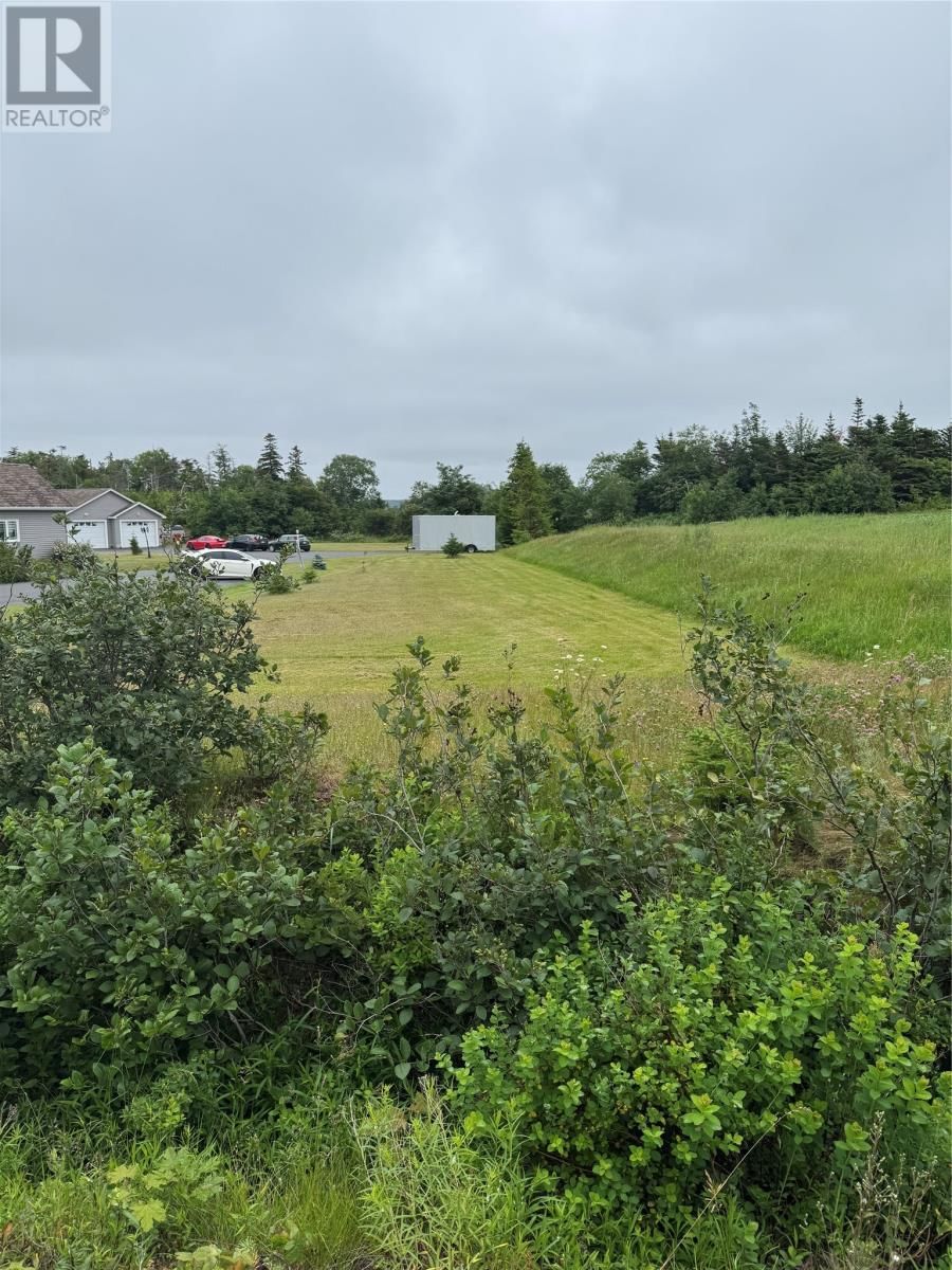 17 Middle Ridge, Conception Bay South, Newfoundland & Labrador A1X 6B4