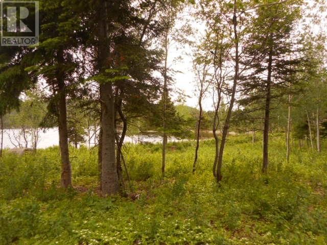 00 Salt Pond Road, Springdale, Newfoundland & Labrador A0J 1T0