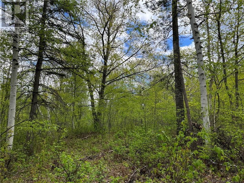 LOT 8 CASSON Trail  Barry's Bay, K0J1B0 | Image 6