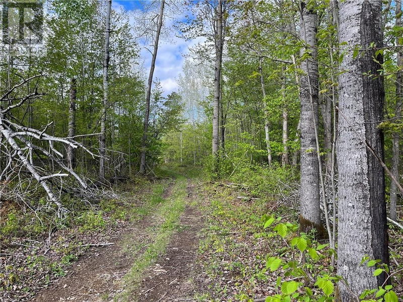 LOT 8 CASSON Trail  Barry's Bay, K0J1B0 | Image 8