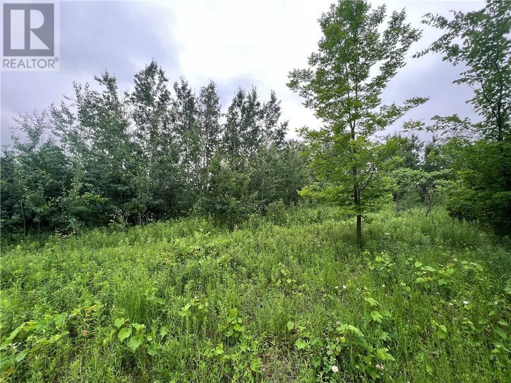 LOT LAKESIDE DRIVE Image 9