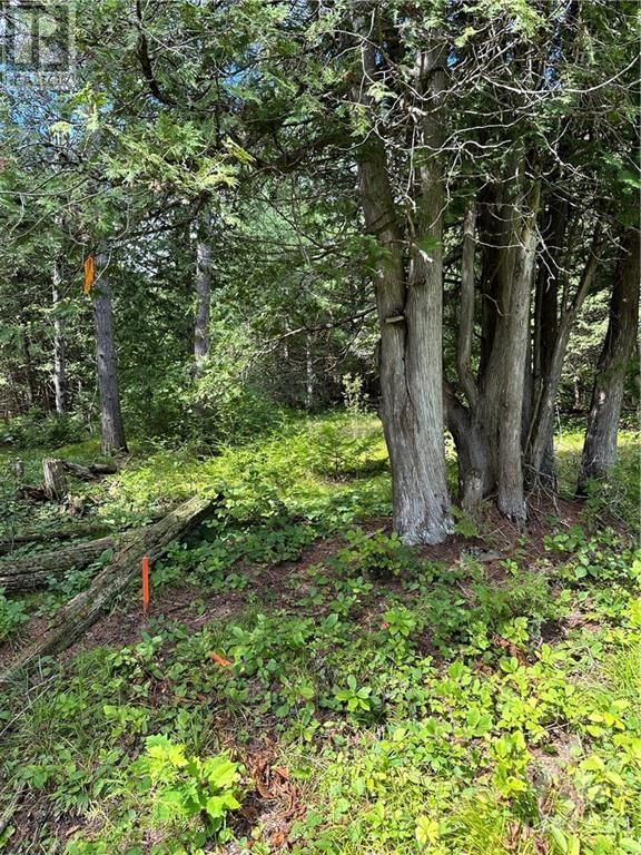 Lot 23 DWYER HILL Road  Ottawa, K0A1B0 | Image 3