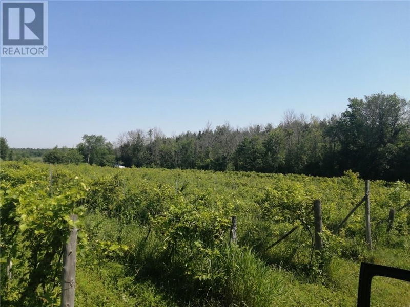 19307 KENYON CONCESSION  RD7 Road  Dunvegan, K0C1J0 | Image 13