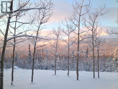 400 URSA WAY | Whitehorse North Yukon | Slide Image Sixty-one