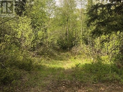 Image #1 of Commercial for Sale at Lot 1 Dunn Lake Rd, Clearwater, British Columbia