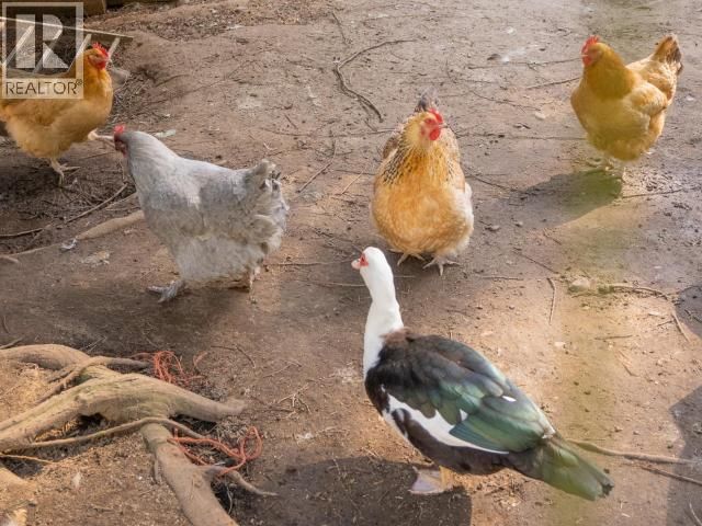 1819 ROBERTS ROAD Image 81