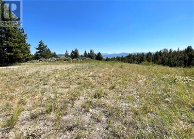 Image #1 of Commercial for Sale at Lot 1 Wapiti Place, Osoyoos, British Columbia