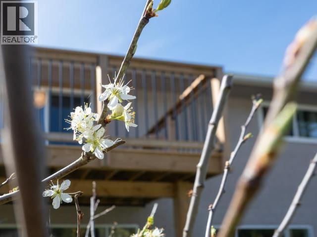 4859 BOWNESS AVE Image 82