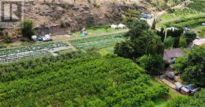 Tree Farms Orchards for Sale