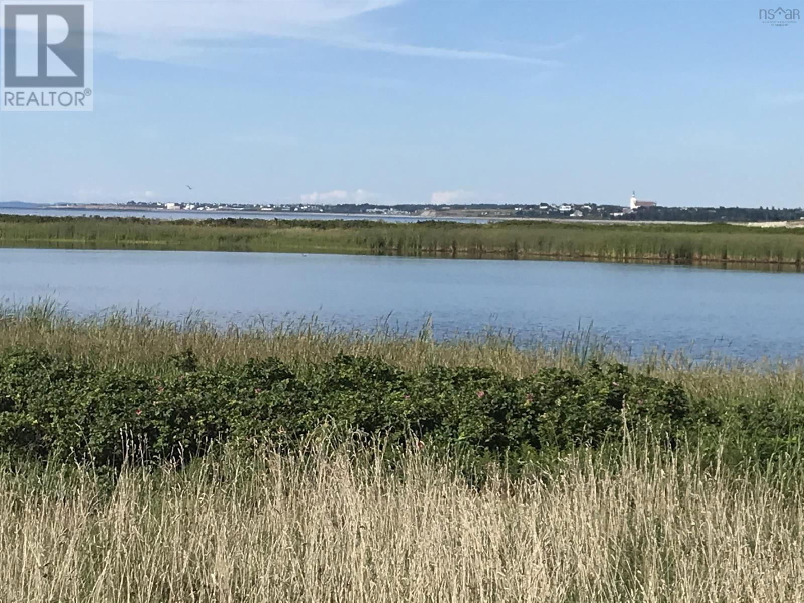 Primary Property View