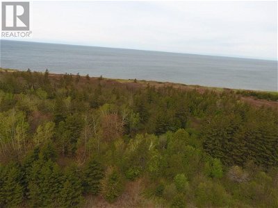 Image #1 of Commercial for Sale at 10.3 Route 14, Campbellton, Prince Edward Island