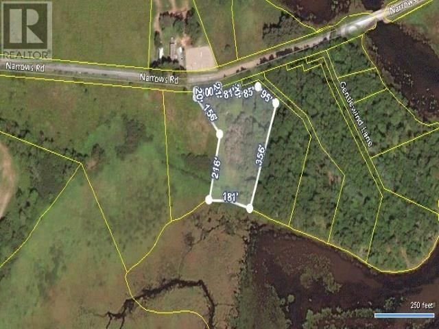 Primary Property View