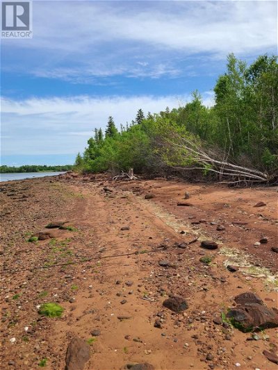 Image #1 of Commercial for Sale at Acreage Route 17 Albion, Albion, Prince Edward Island