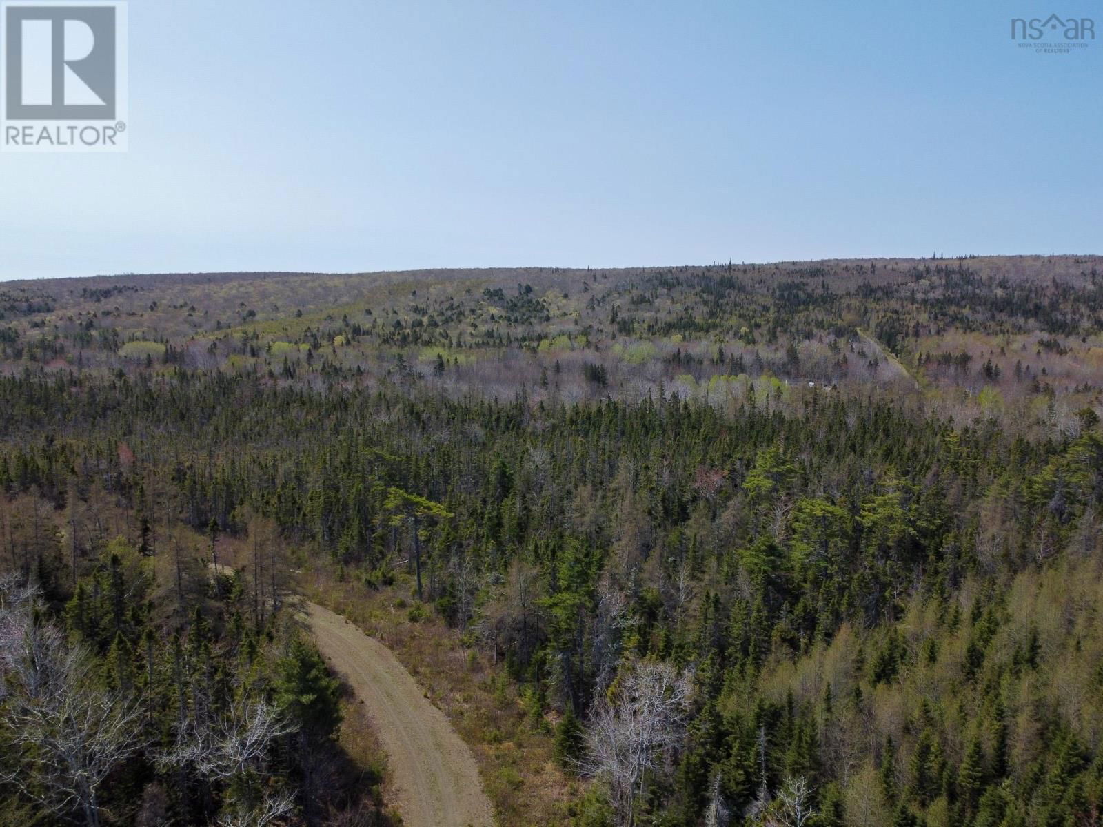 Primary Property View