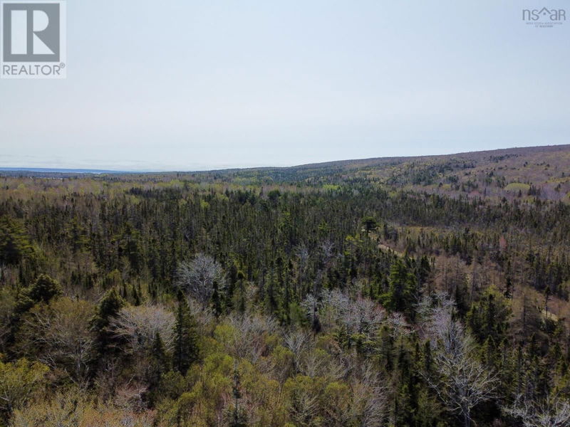 Tertiary Property View