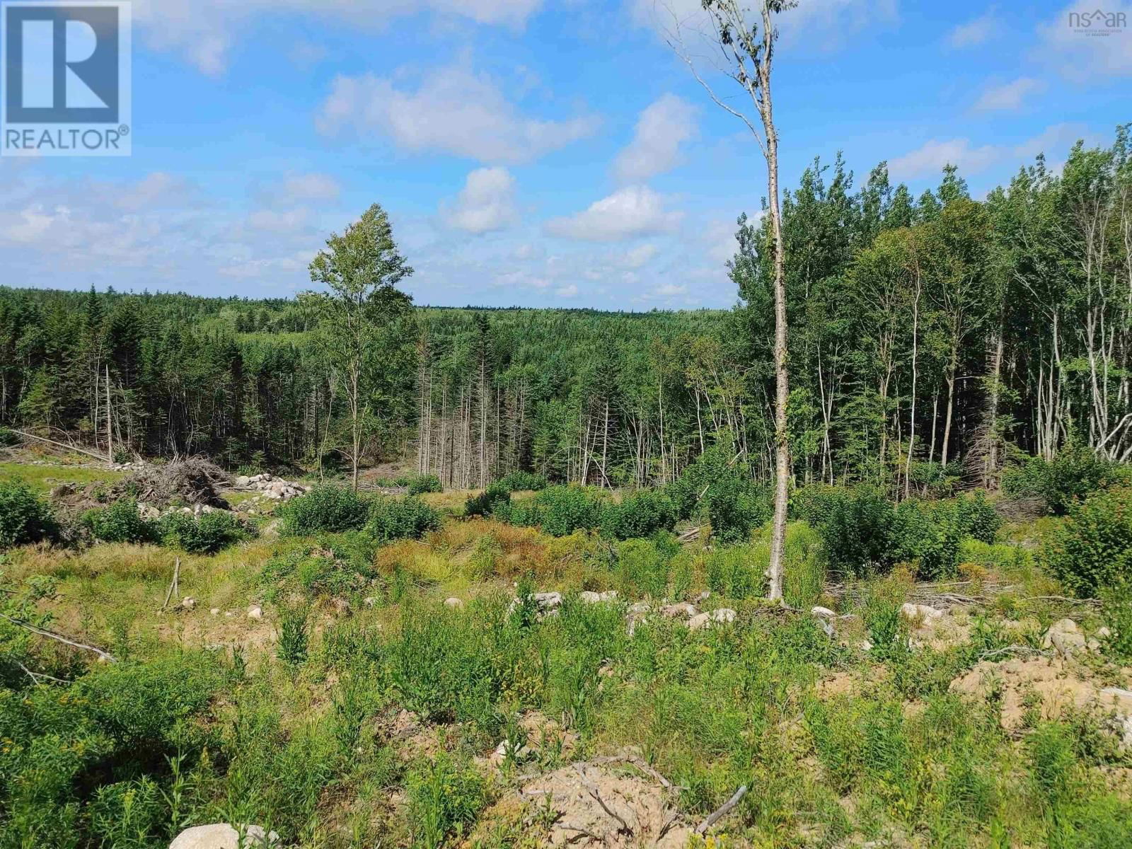 Primary Property View