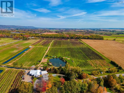 Businesses for Sale in Ontario