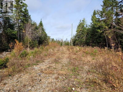 Commercial for Sale in Nova-scotia