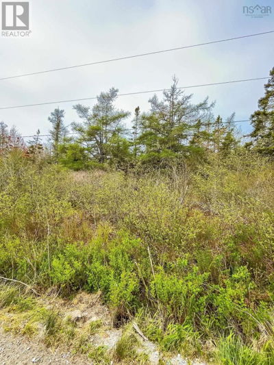 Commercial for Sale in Nova-scotia