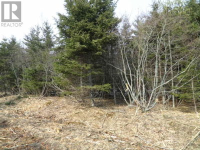 Commercial for Sale in Nova-scotia