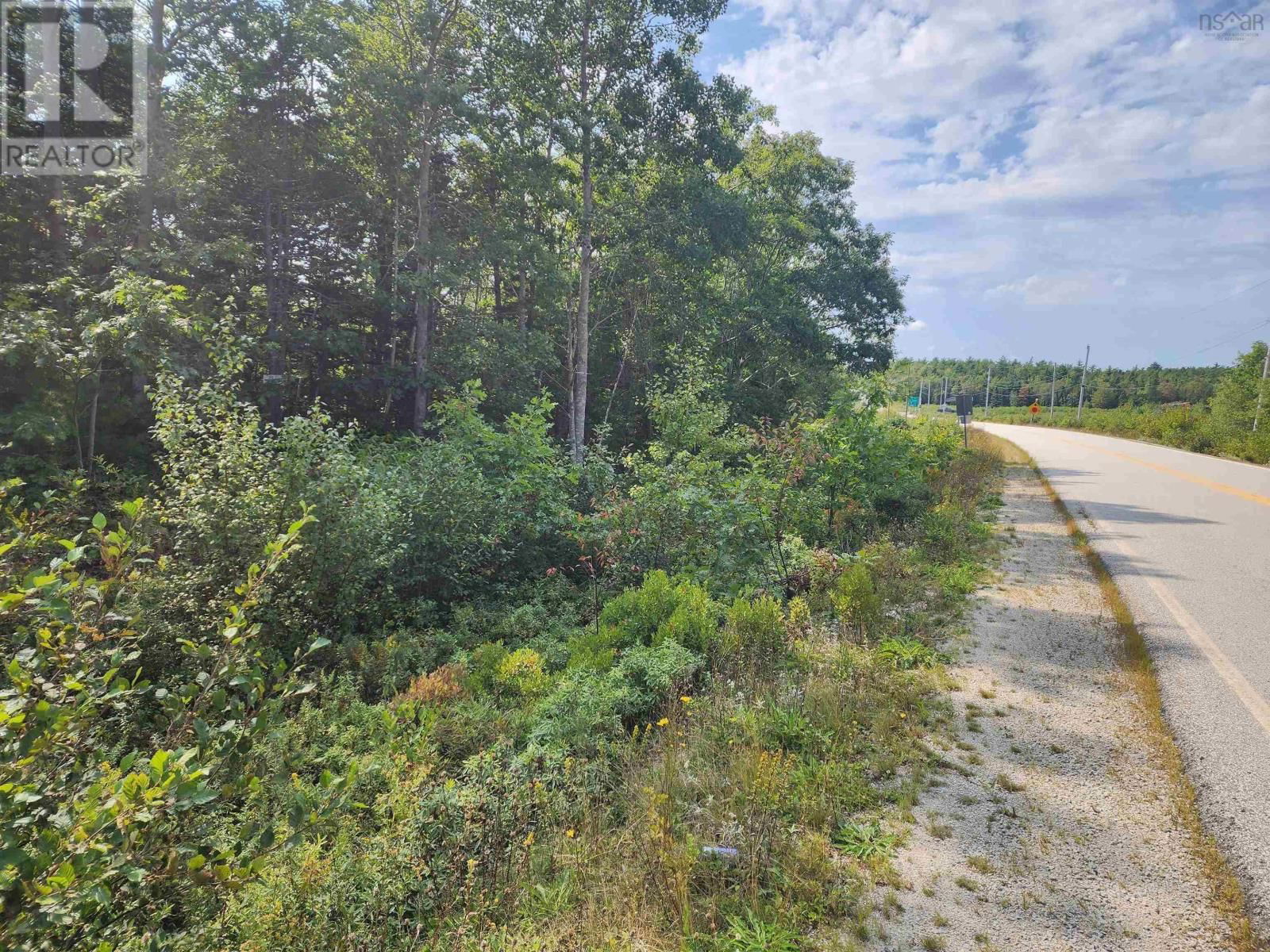 Primary Property View