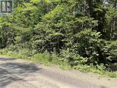 Image #1 of Commercial for Sale at 6 Lots 1-7 Butler Road Road, Forest Home, Nova Scotia