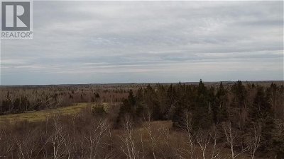 Image #1 of Commercial for Sale at Acreage Peakes Road, Riverton, Prince Edward Island