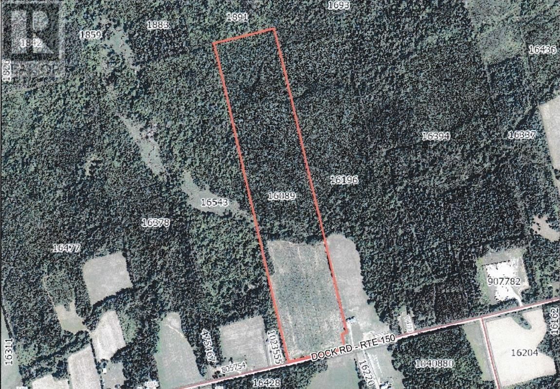 Primary Property View