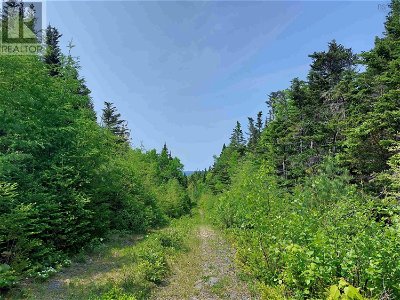Image #1 of Commercial for Sale at Lot 23ij Diana Mountain Rd., The Points West Bay, Nova Scotia