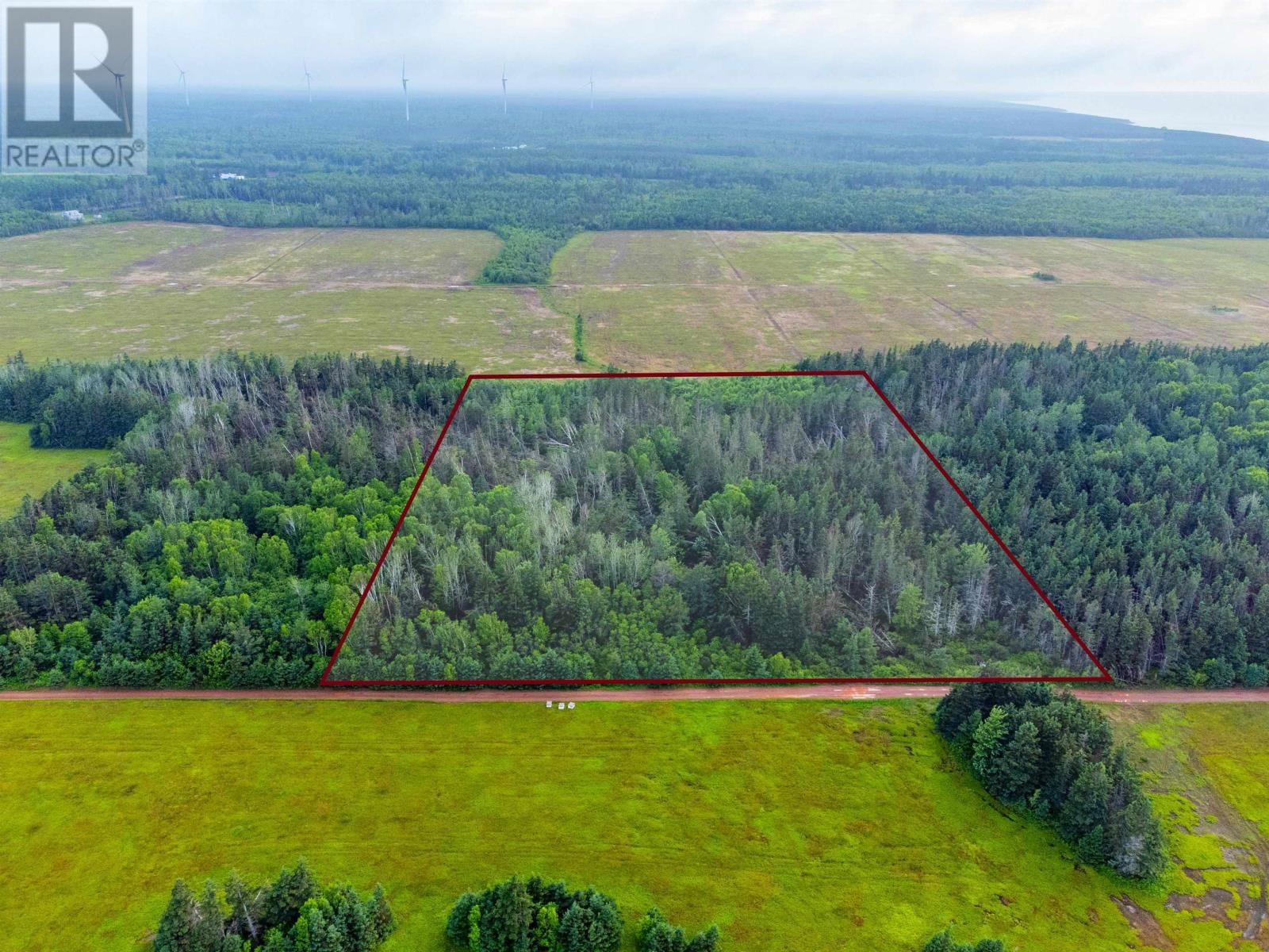 Primary Property View