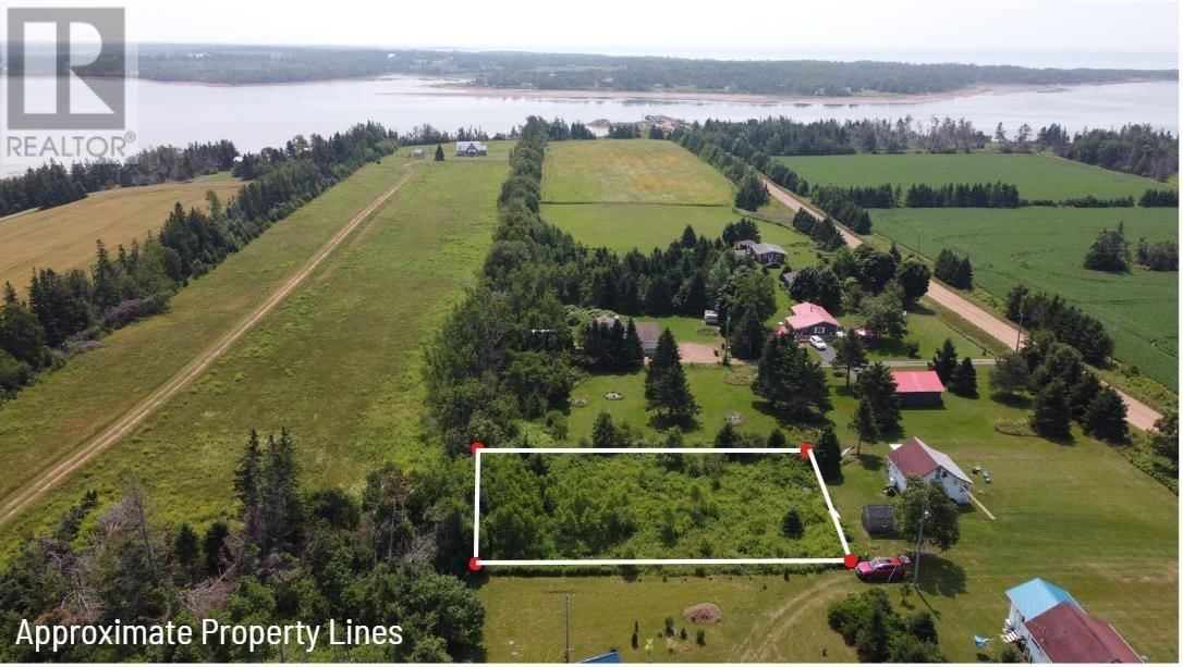 Primary Property View